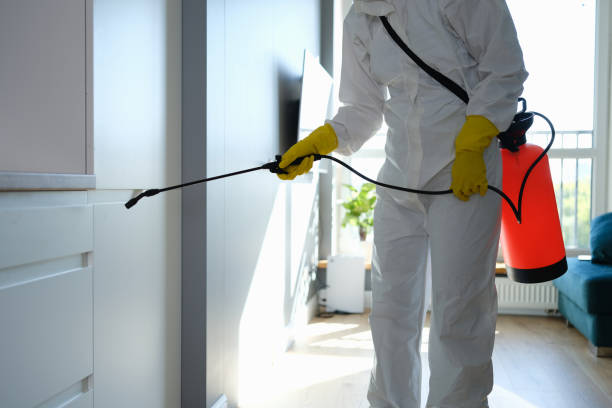 Biohazard Mold Removal in Wells Branch, TX